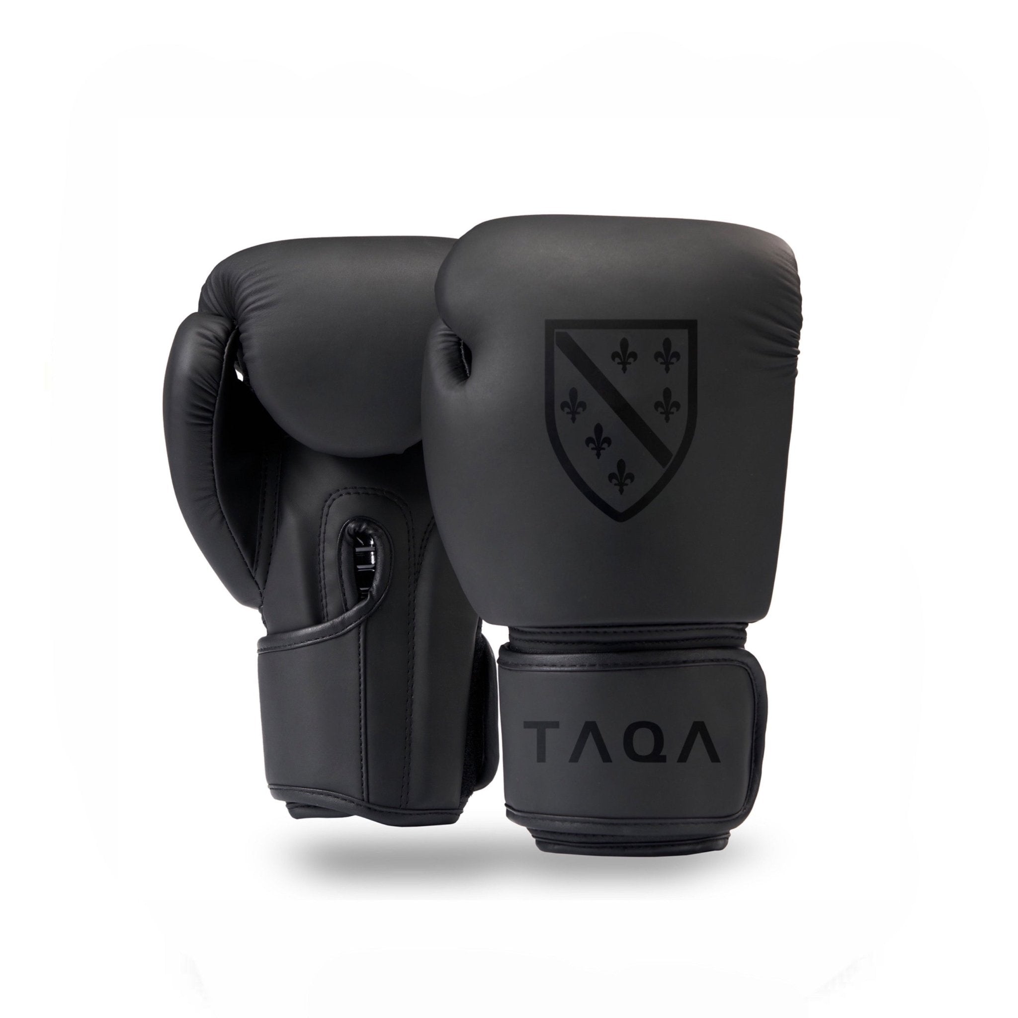 Boxing Gloves Bosnia